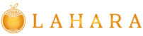 laharafoundation.org